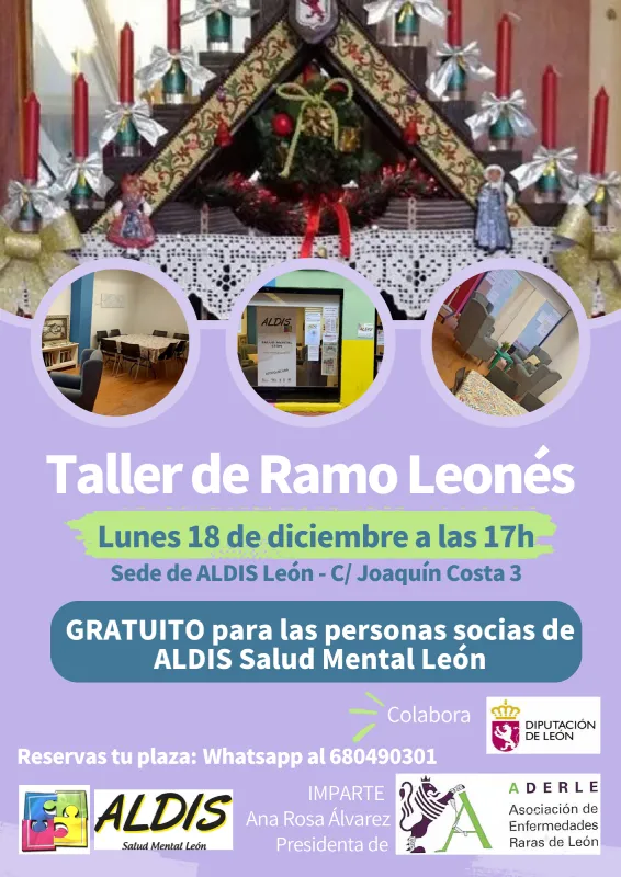 Aldis Salud Mental - Ramo Leonés DIPU2023